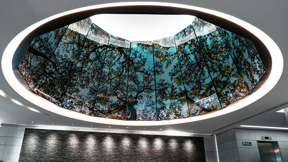 Oficinas en renta polanco